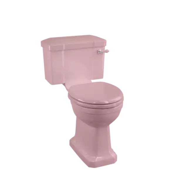 Ceramic Cross Couple Toilet in Pink
