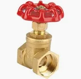 gate valve